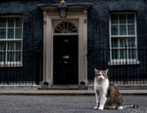 I gatti di Downing Street 10