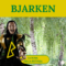 ᛒ – Bjarken– Runa della betulla